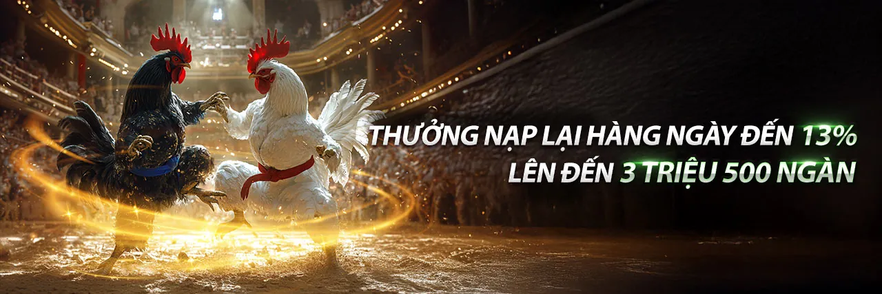 Đá Gà Trực Tuyến 6789 tại ibet